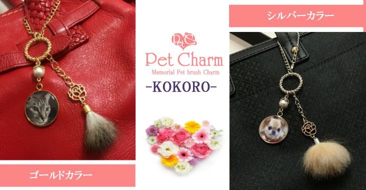 KOKORO2色